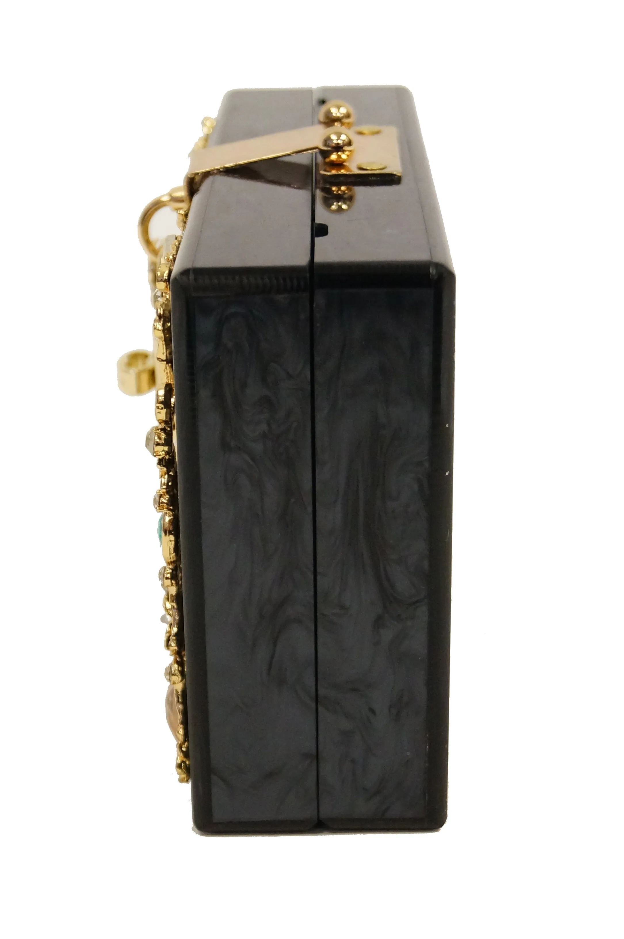 2016 Dolce & Gabbana Lucite Floral Box Purse