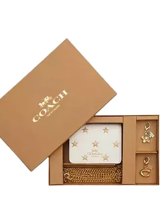 Coach Boxed Mini Wallet On A Chain With Star Print