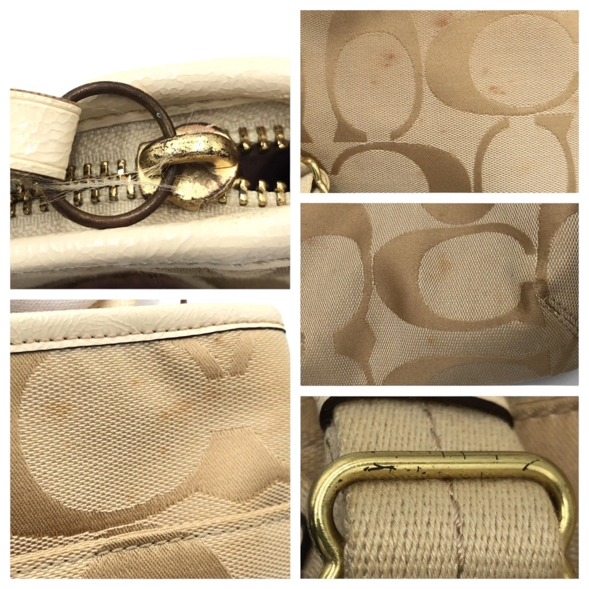 Coach ivory Signature Line Pochette Shoulder Bag (Pre-Owned)