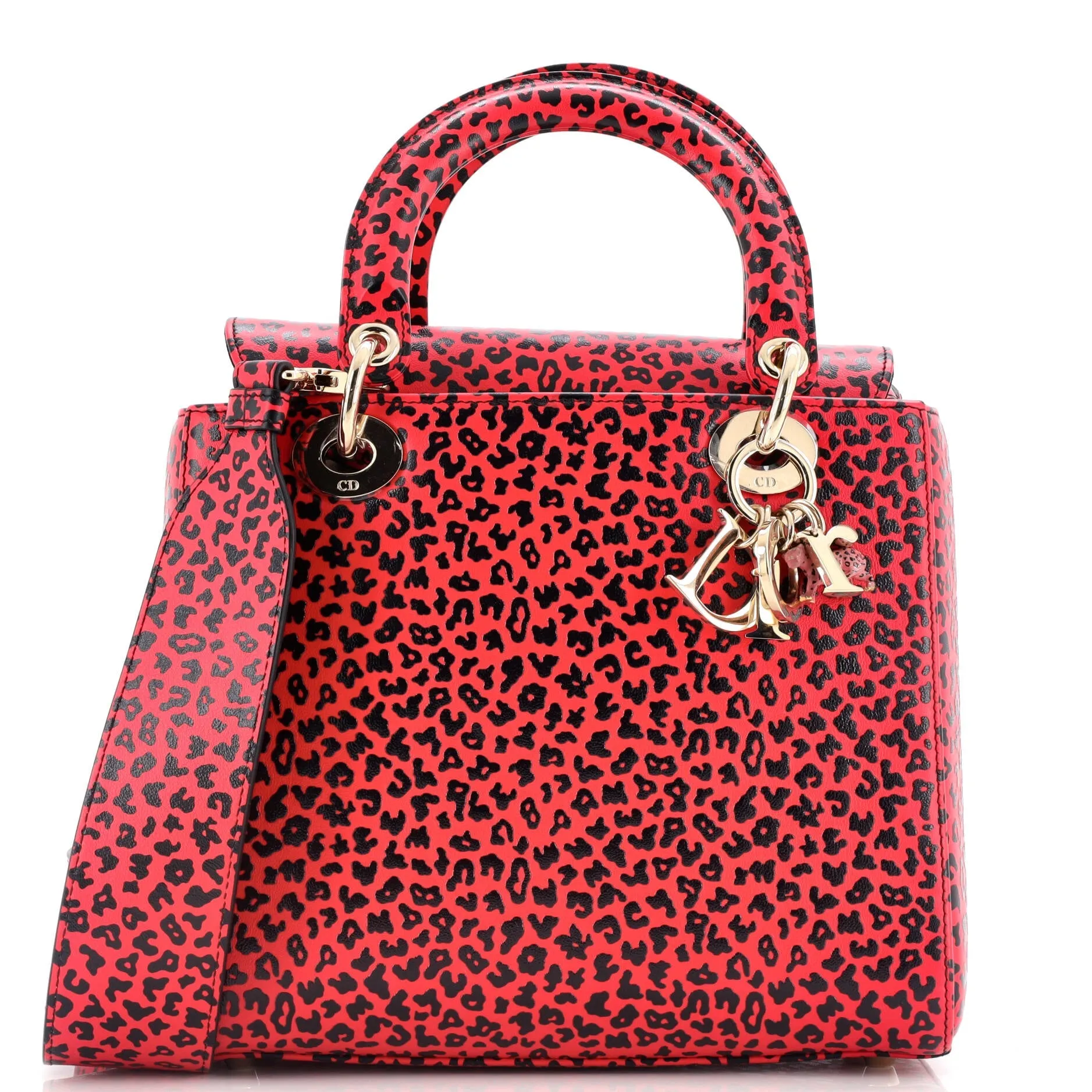 Lady Dior Bag Printed Leather Medium