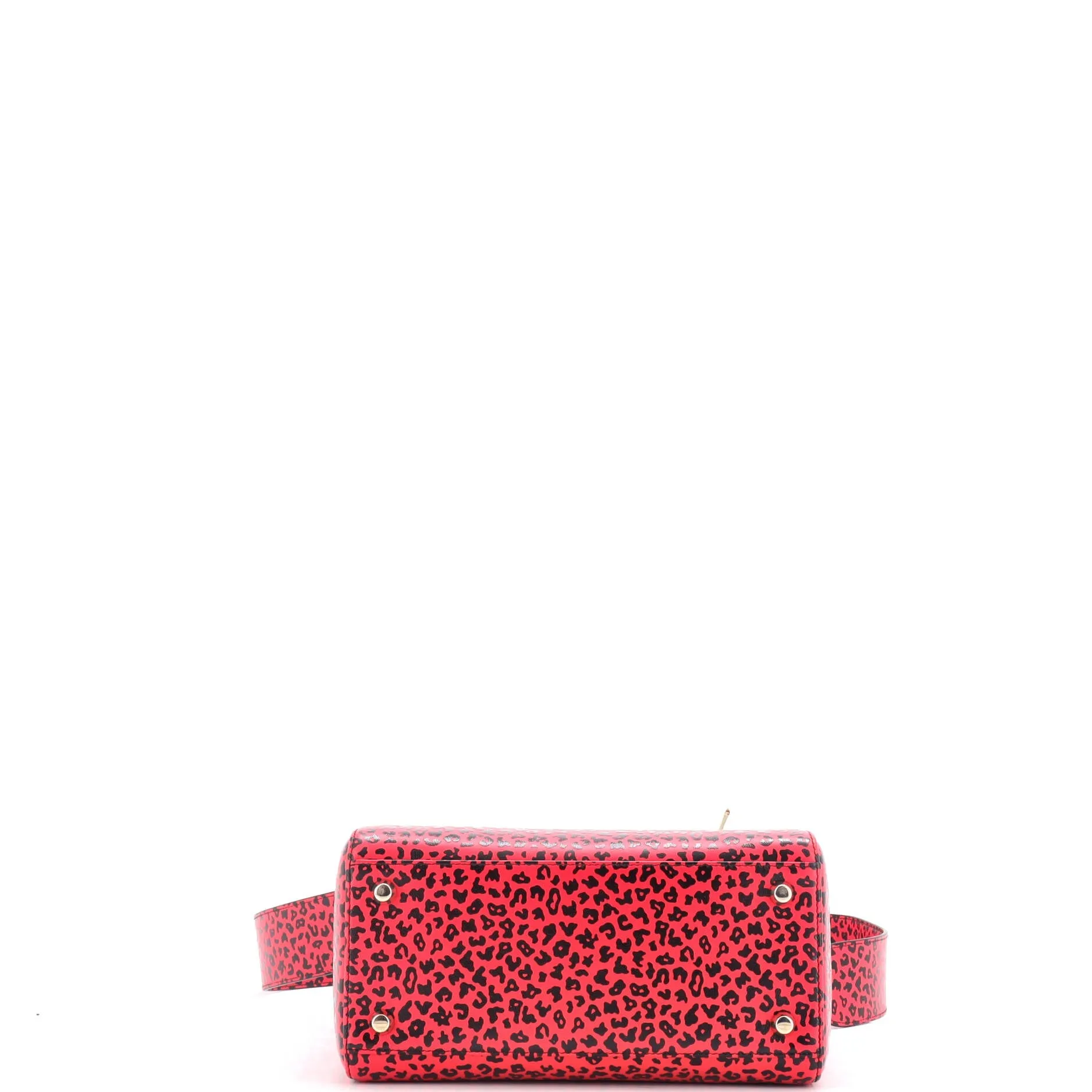 Lady Dior Bag Printed Leather Medium
