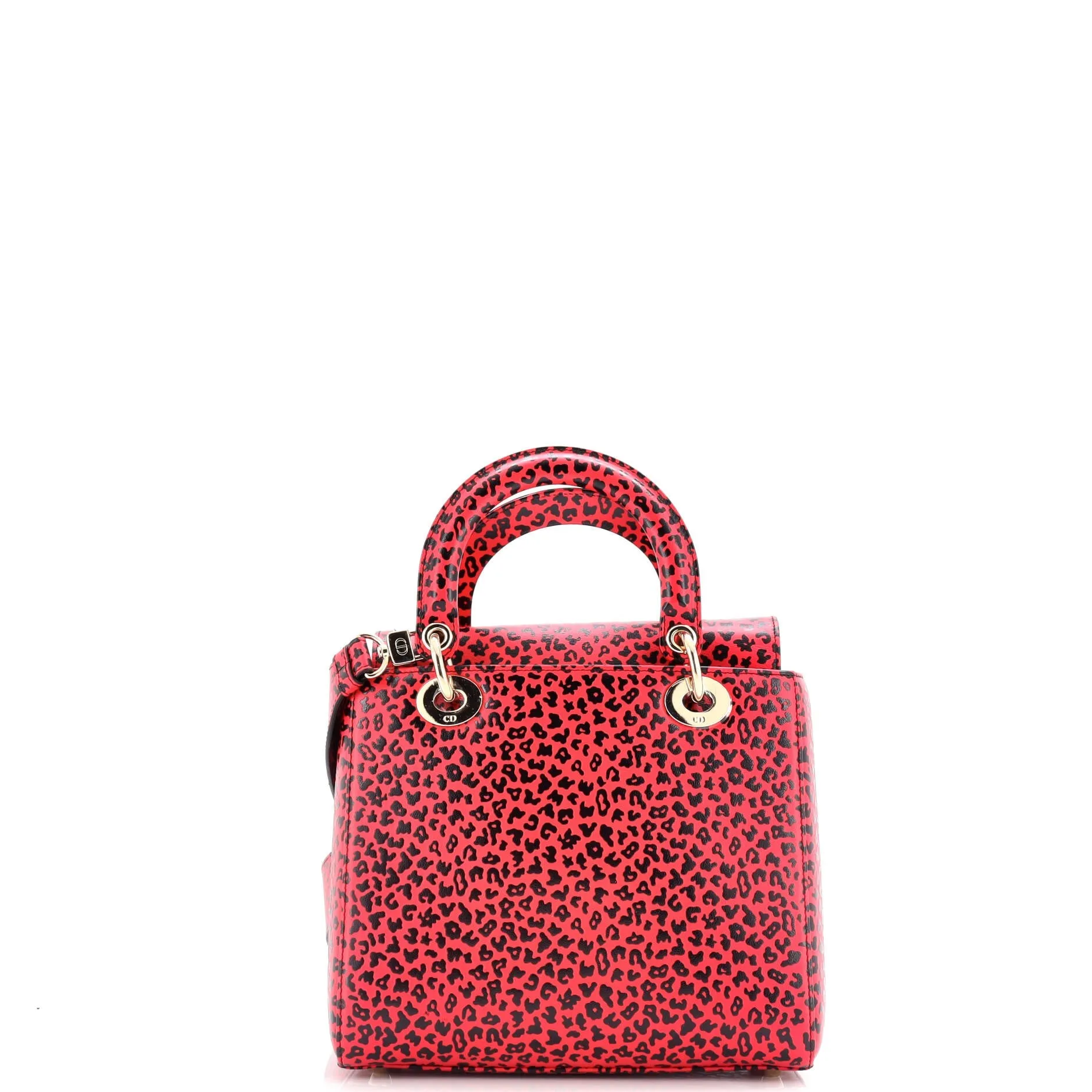 Lady Dior Bag Printed Leather Medium