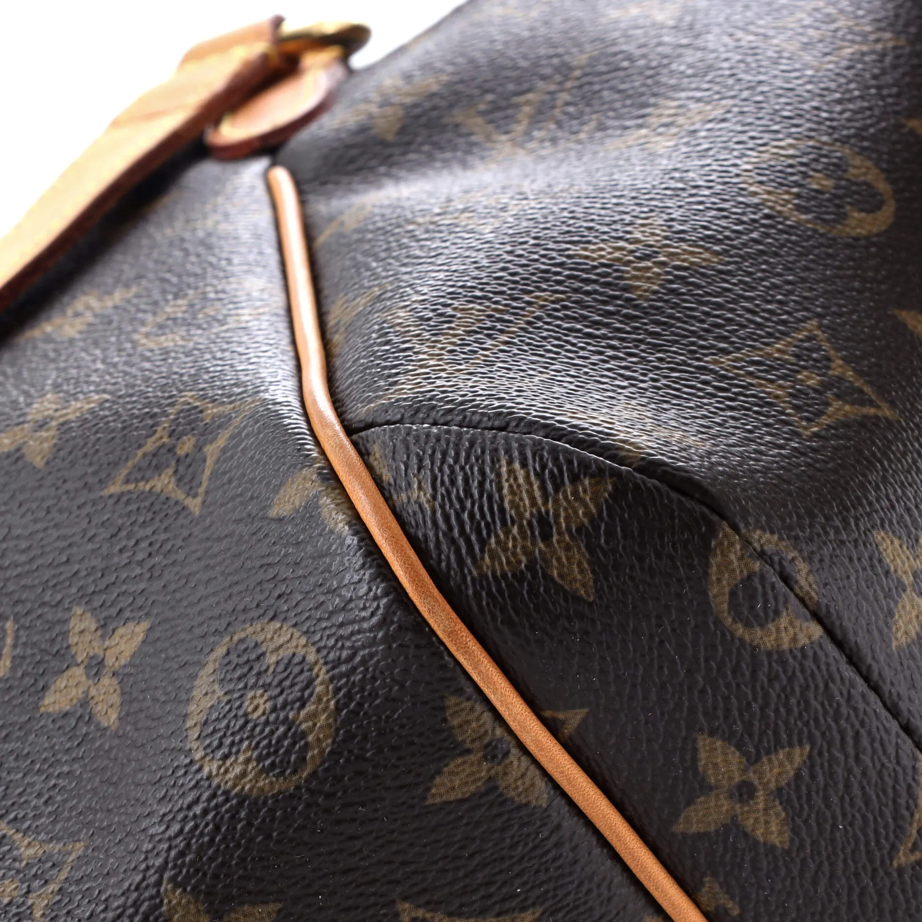 Totally Handbag Monogram Canvas PM