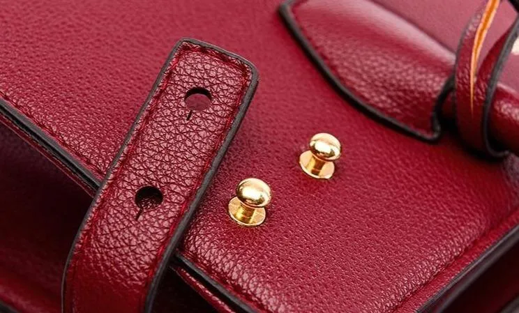 Vinco Claros Handbag